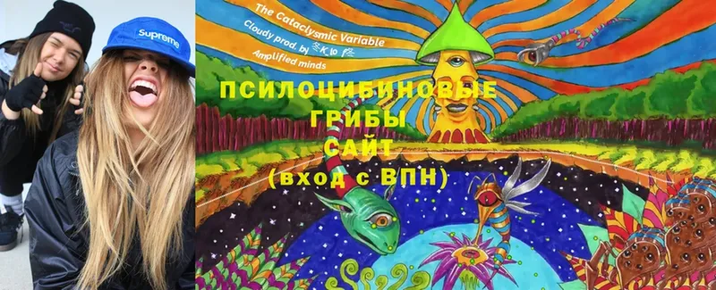 Псилоцибиновые грибы GOLDEN TEACHER  Сорск 